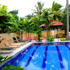 Maple Leaf 3* Negombo